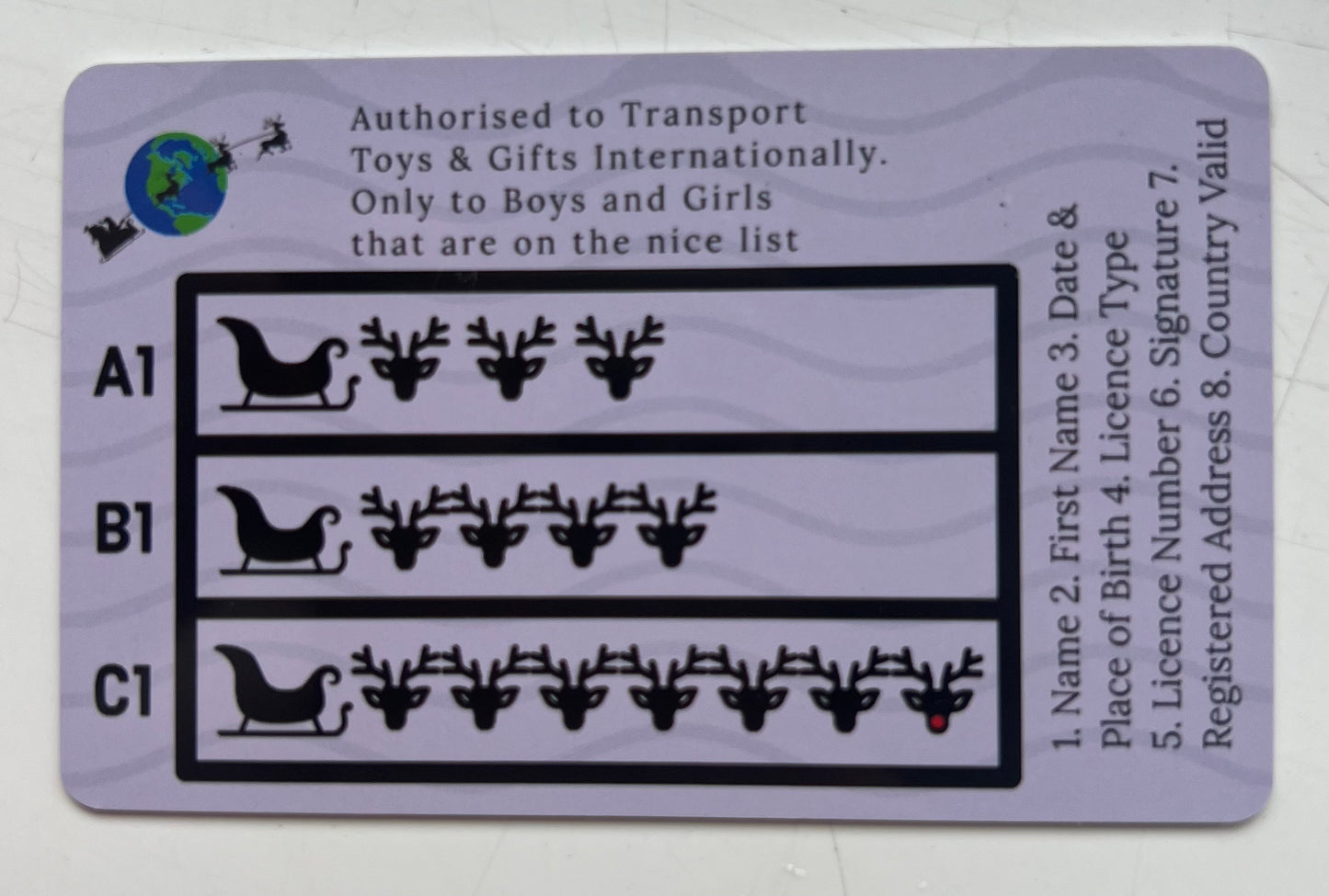 Sleigh Flying Licence