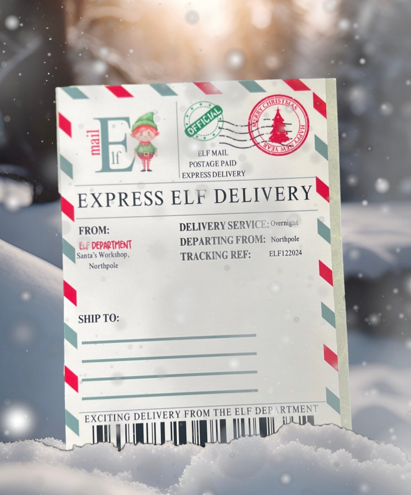Express Elf Delivery