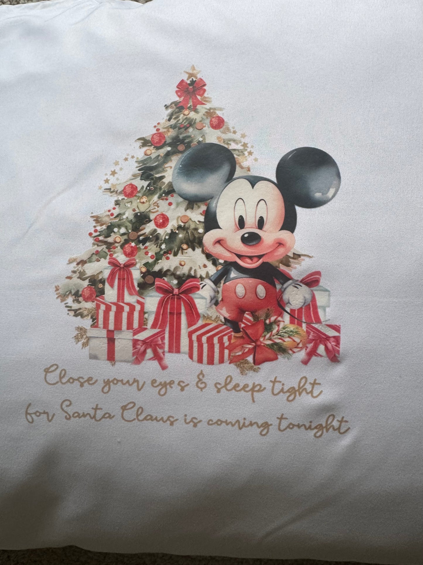 Christmas Pillow Case